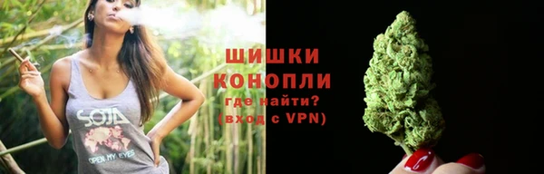 прущие грибы Володарск