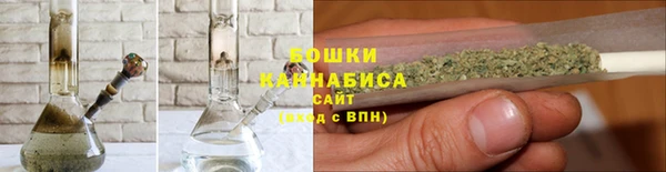 прущие грибы Володарск