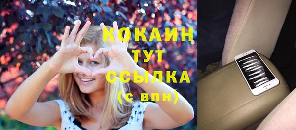 прущие грибы Володарск