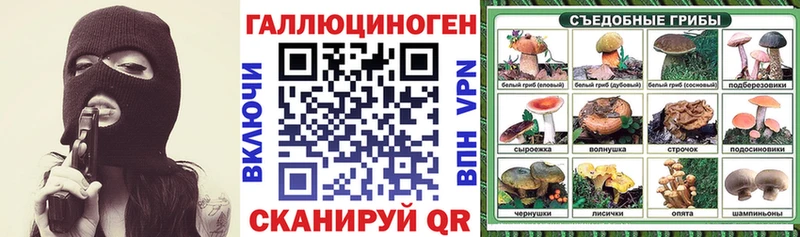 купить   Новомосковск  Галлюциногенные грибы прущие грибы 